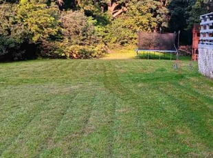 Grant D.'s Lawn Mowing service result