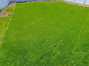 Shiela W.'s Lawn Service service result