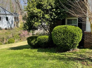 Terry F.'s Lawn Care service result