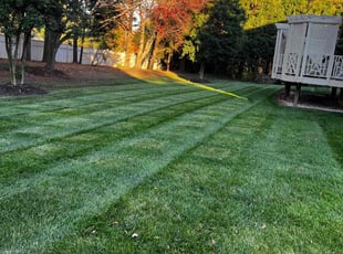 Leaf Removal by Khalim Yularnis for Jessie James J. in Burke, VA