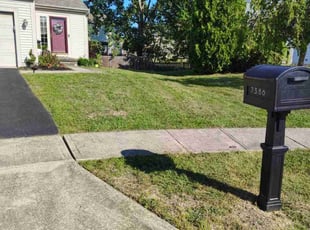 Bill S.'s Lawn Care service result