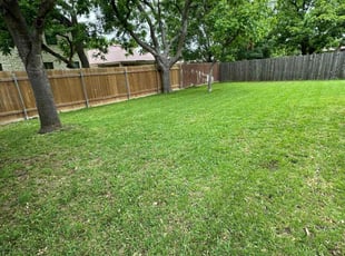 Tom H.'s Lawn Mowing Service service result