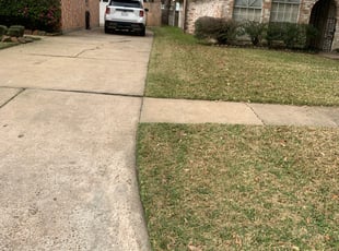Bush Trimming by David Thomas for Jill B. in Houston, TX