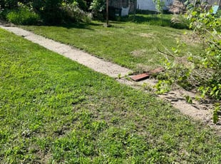 Bush Trimming by ERIK Macafee for Bryan R. in Hudson, WI