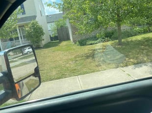 Weeding by Luis Contreras for Jeffrey C. in McCordsville, IN