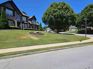 Ian S.'s Lawn Service service result