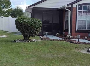 Bush Trimming by Robby Freedman for Antionette L. in Orlando, FL