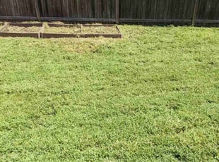 Weeding by Roscoe Carr for Sherry D. in Stafford, VA