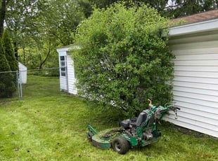 Bush Trimming by Andrew Rotelli for Isaiah A. in Syracuse, NY