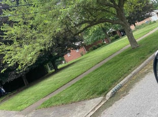 Michael B.'s Lawn Service service result