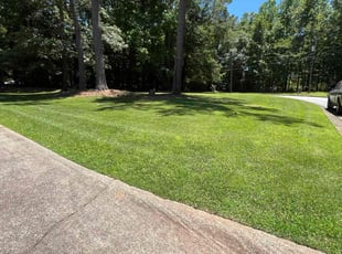 Andrea B.'s Lawn Care service result