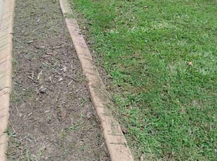 Weeding by Mattia Nelson for Lyndsay M. in Atlanta, GA