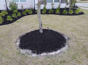 Mulching by Omar Norris for Tayzia M. in Cypress, TX
