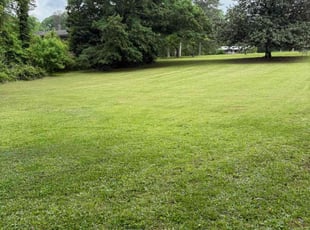 Seren O.'s Lawn Mowing service result