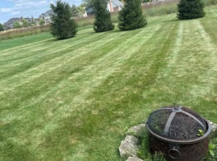 Dixie S.'s Lawn Mowing Service service result