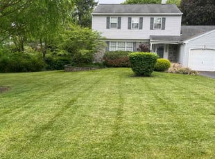 Vicky D.'s Lawn Mowing service result
