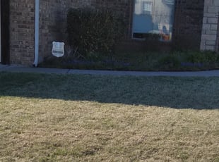 Bush Trimming by Zach Poteet for Martha H. in Moore, OK