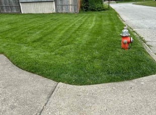 Keisha S.'s Lawn Care service result