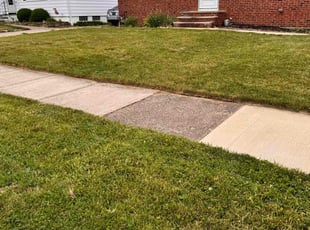 Thomas W.'s Lawn Mowing Service service result