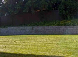 Josue C.'s Lawn Care service result