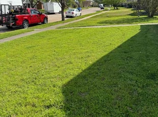 Kendall H.'s Lawn Mowing service result