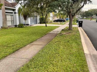 Pal s.'s Lawn Service service result
