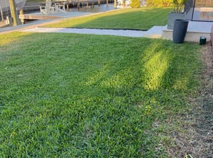 Joshua C.'s Lawn Mowing Service service result
