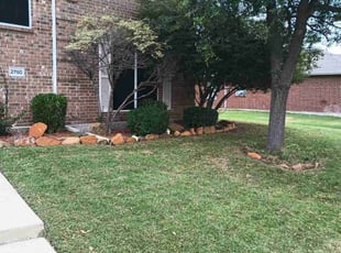 Bush Trimming by Joshua Daley for Kenneth G. in Rockwall, TX