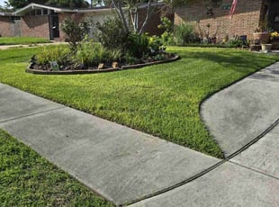 Rafael C.'s Lawn Mowing service result