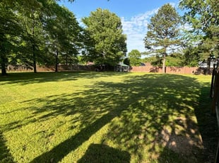 Brandon C.'s Lawn Service service result