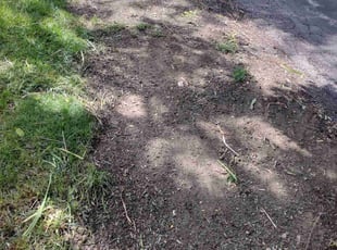 Weeding by Michael Martin for Ronda B. in Grove City, OH