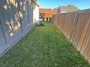 Gwendolyn P.'s Lawn Care service result