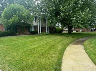 Etienne B.'s Lawn Service service result
