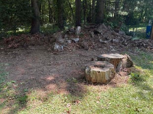 Cleanups by Jennifer Lopez for Adam S. in Cromwell, CT