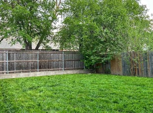 Michael N.'s Lawn Mowing service result