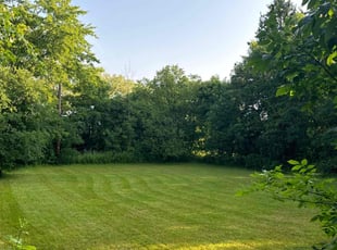 Gina p.'s Lawn Mowing Service service result