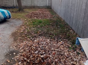 Leaf Removal by David Rodriguez for Laura M. in University City, MO