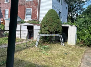 Bush Trimming by Amber Abel for Gerard D. in Bethlehem, PA