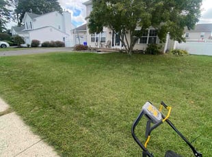 Troy G.'s Lawn Maintenance service result