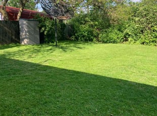 Andrew W.'s Lawn Maintenance service result
