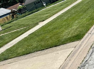 Jimmie S.'s Lawn Service service result