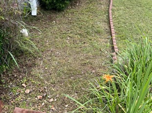 Weeding by Fred White for Torrey T. in Stockbridge, GA