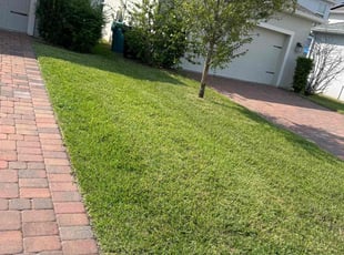 LaShonda R.'s Lawn Maintenance service result
