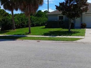 Abhinay R.'s Lawn Mowing Service service result