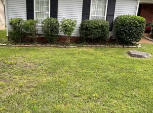 Bush Trimming by Eugene Melendez for Sherida H. in Nashville, TN