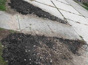 Cleanups by Glenn Carter for Neissa N. in Indianapolis, IN