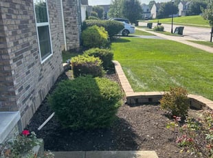 Weeding by Leroy Green II for Christian R. in Lewis Center, OH