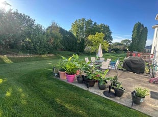 Betty O.'s Grass Cutting service result