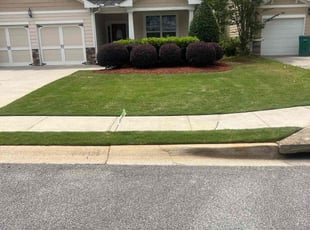Myra B.'s Lawn Mowing service result