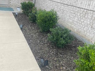 Weeding by Gabriel Piedra for Marcy M. in Little Elm, TX